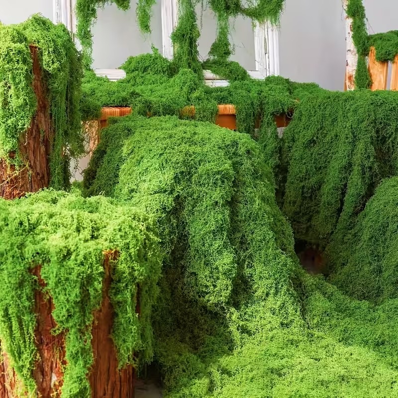 Preserved Moss Sheet - Faux gazon bionique en mousse artificielle
