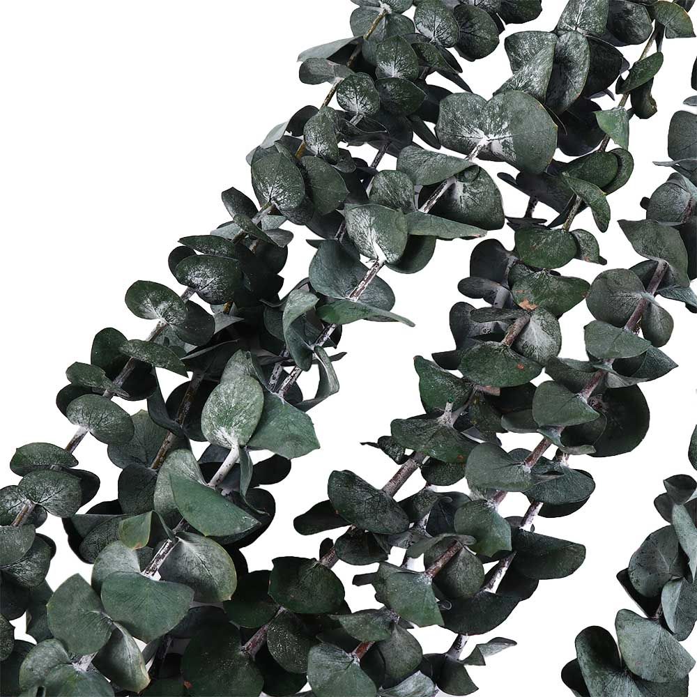 10 pièces de feuilles naturell - Eucalyptus Preserved avis et prix
