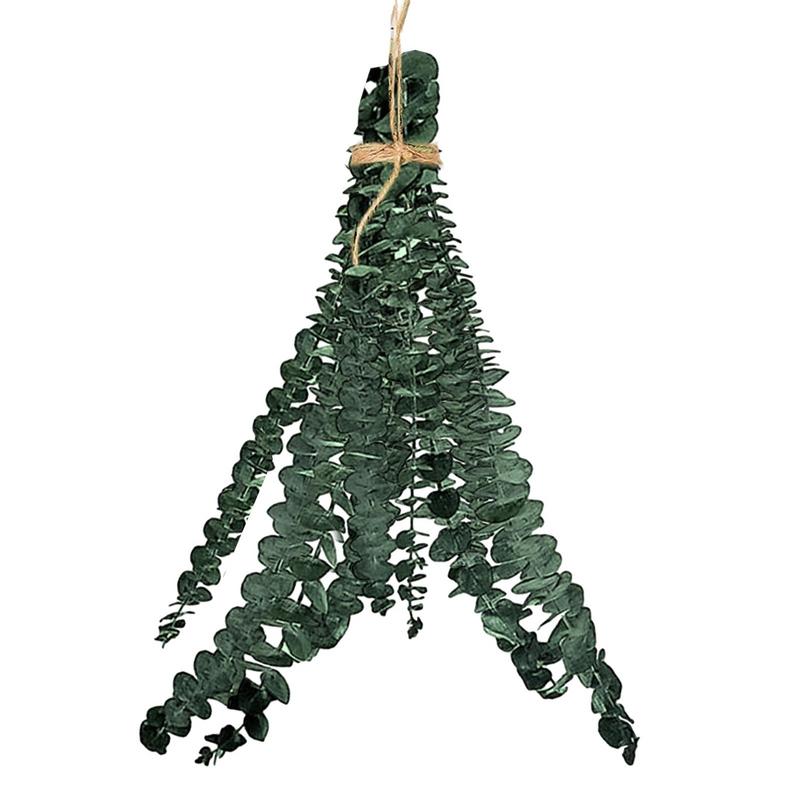 10 pièces de vraies feuilles d - Eucalyptus Preserved avis et prix