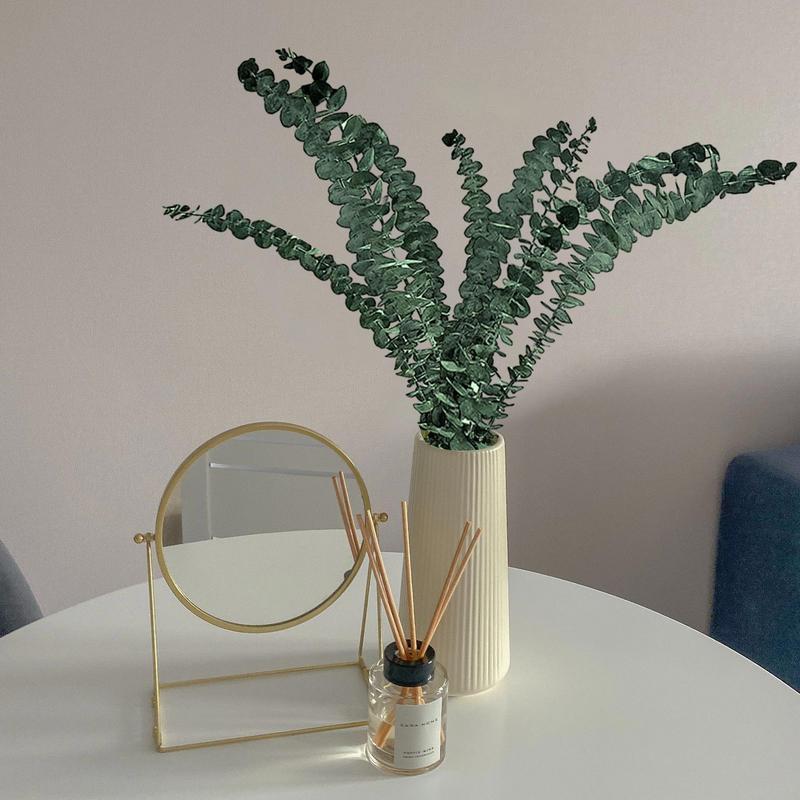 10 pièces de vraies feuilles d - Eucalyptus Preserved avis et prix