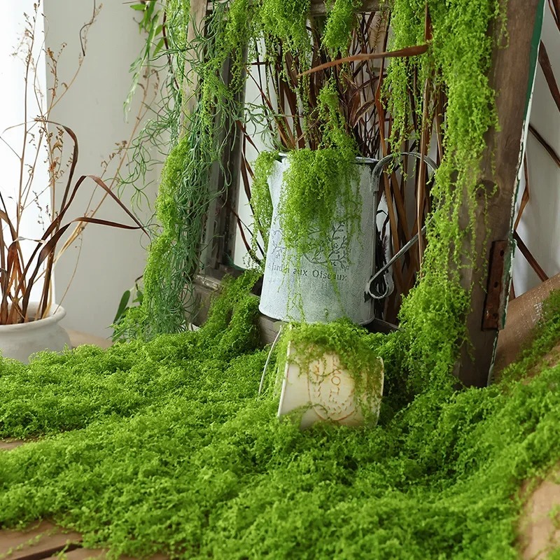 Faux gazon bionique en mousse  - Preserved Moss Sheet avis et prix